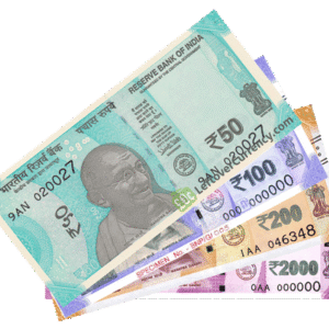 Premium INR Counterfeit Notes